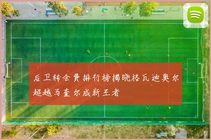 后卫转会费排行榜揭晓格瓦迪奥尔超越马奎尔成新王者