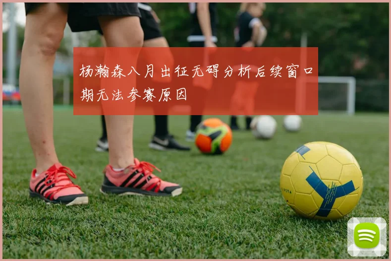 杨瀚森八月出征无碍分析后续窗口期无法参赛原因
