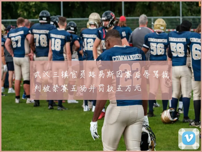 武汉三镇官员路易斯因赛后辱骂裁判被禁赛五场并罚款五万元