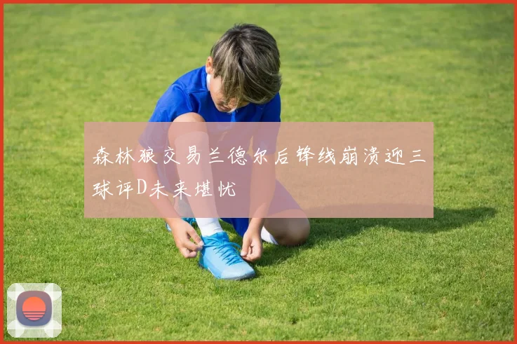 森林狼交易兰德尔后锋线崩溃迎三球评D未来堪忧